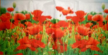 017 Anemones, Poppy - 3-ply - Paper Design